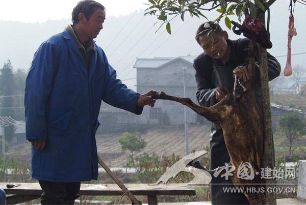 ɱ���������������������� ���ũׯ��...